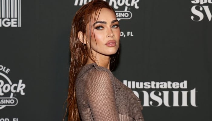 Megan Fox’s hilarious reply to troll steals the spotlight