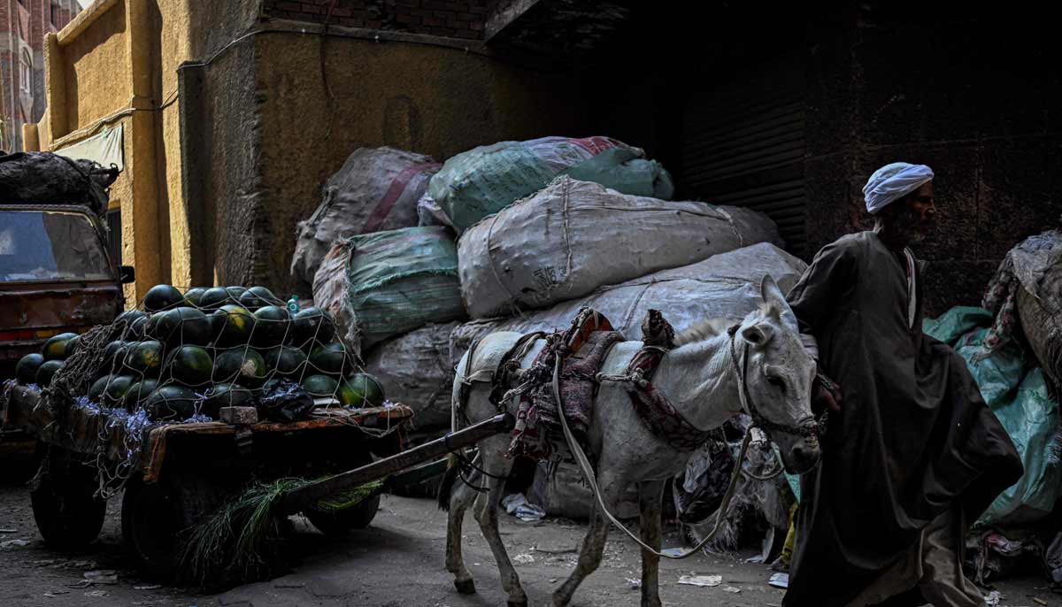 An Egyptian vendor leads his donkey cart loaded with watermelons past large bags filled with rubbish at the garbage city in the Manshiyet Nasser neighbourhood in Cairo on July 6, 2026.— AFP