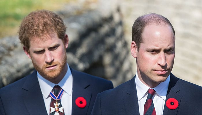 Prince William missing from Harrys meeting becomes biggest talking point