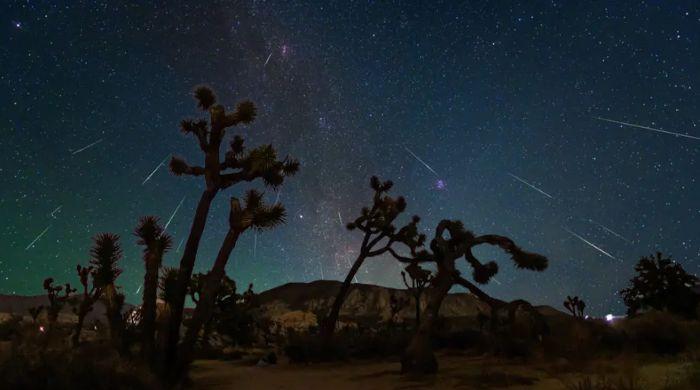 Perseid meteor shower begins tonight: complete California viewing forecast inside