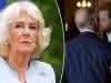 Queen Camilla performs big favour for monarchy after Prince Harry's welcome