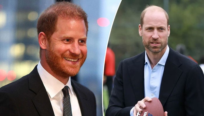 Prince Harry latest comments prove strong connection to estranged William