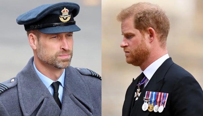 Prince William decides to make peace with Harry but on strict conditions