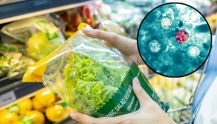 Cyclospora latest: What FDA found in Taylor Farms lettuce test results?