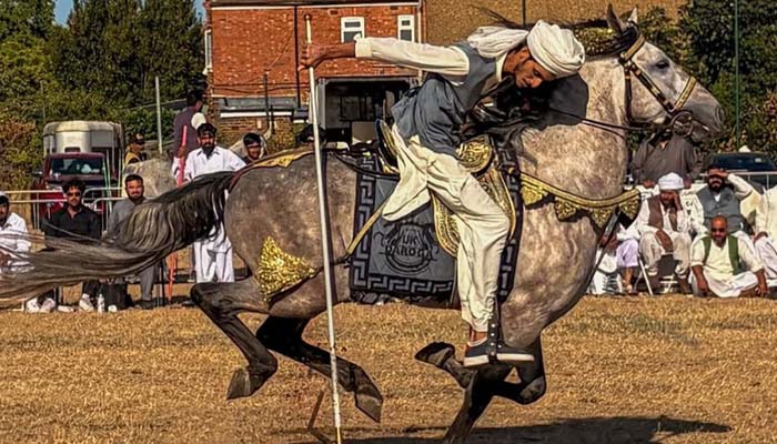 First-ever tent pegging competition featured more than 100 pedigree horses and riders from across the United Kingdom and Pakistan. — Reporter