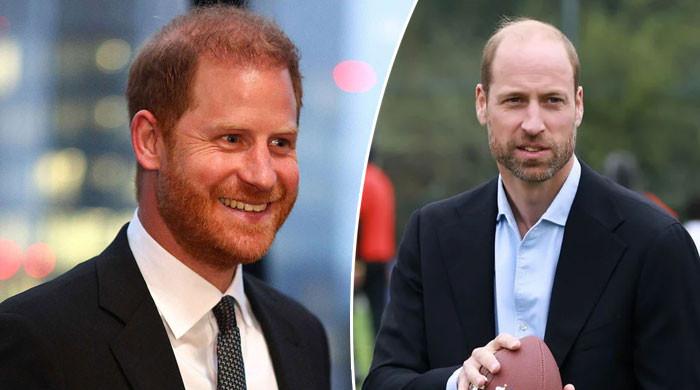 Prince Harry latest comments prove strong connection to estranged William