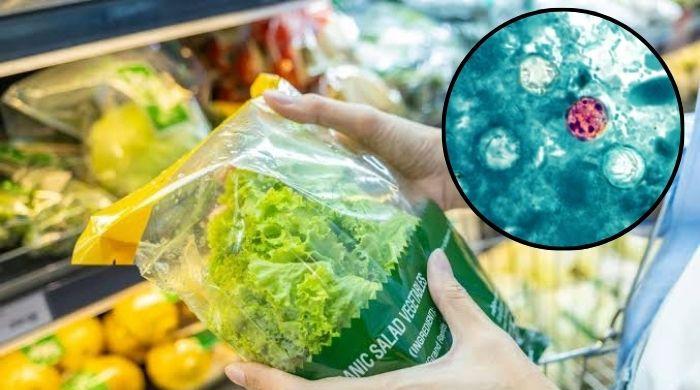 Cyclospora latest: What FDA found in Taylor Farms lettuce test results?
