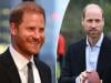 Prince Harry latest comments prove strong connection to estranged William