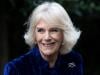 Queen Camilla in 'good place' after securing key royal position 