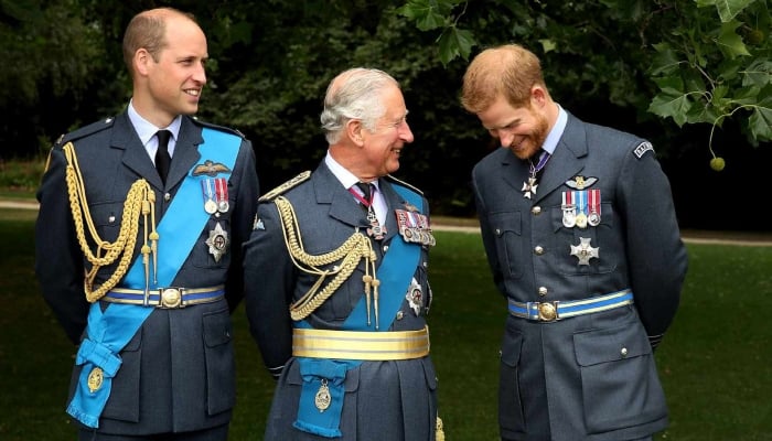 King Charles praises Prince Harry olive branch to William: Big Change