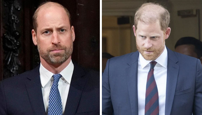 Royal Rift: Prince William's Fears Over Prince Harry's Tribute to Diana