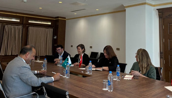 Federal Minister for Climate Change and Environmental Coordination Dr Musadik Malik meets a Turkish delegation in Shamakhi, Azerbaijan. — Climate Ministry