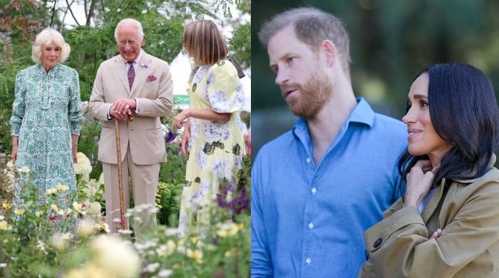 Buckingham Palace issues statement after Meghan Markle bombshell 