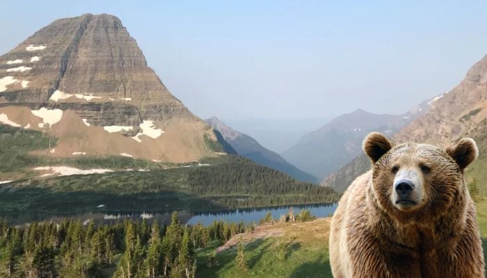 Final moments of hiker prior to fatal bear attack at Glacier National Park revealed