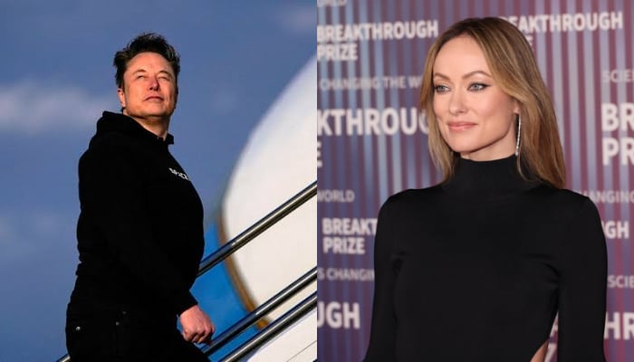 Olivia Wilde reignites Elon Musk feud with new statement
