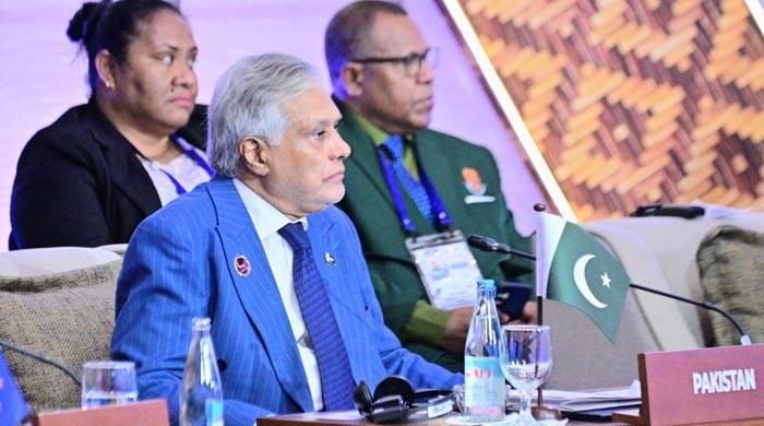 Dar raises Kashmir, Indus treaty and Gulf tensions at Asean forum