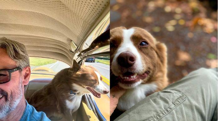 Mike Wolfe social media post opens up about guilt over dog's accident: ‘I feel responsible' 
