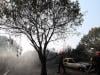 Spain, France battle wildfires as intense heat grips Southern Europe