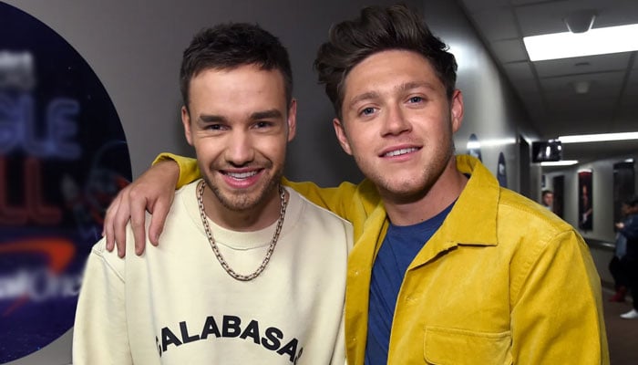 Niall Horan recalls favourite Liam Payne memory from One Direction days