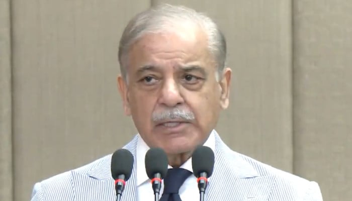 India’s role ‘absolutely clear’ in terrorist attacks inside Pakistan: PM Shehbaz