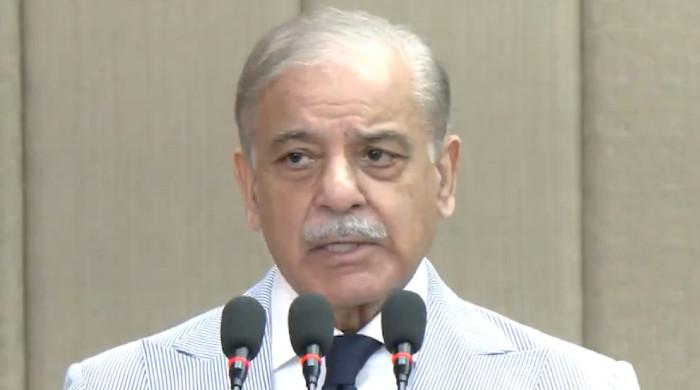 PM says India’s role in terrorism inside Pakistan is ‘absolutely clear’