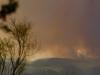 Thousands flee French peninsula of Cap Ferret as wildfires rage across regions