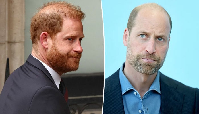 Prince Harry fuels William’s anger with shocking statement: ‘Not my fault’