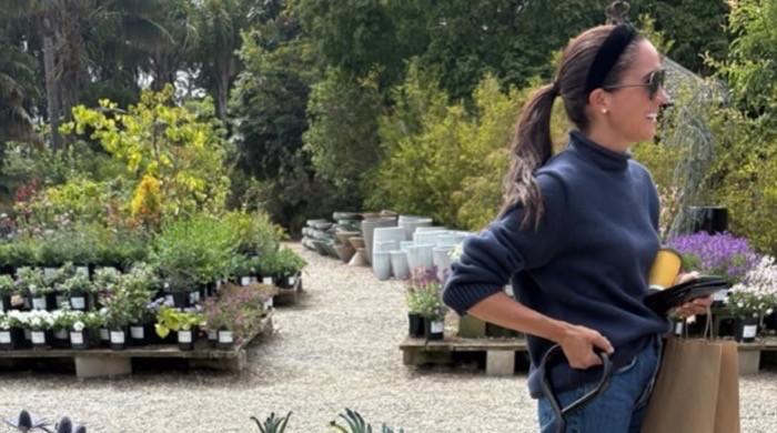 Meghan Markle hints new garden project after surprise show appearance