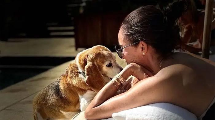 Meghan Markle intimate family photos hint special royal reunion