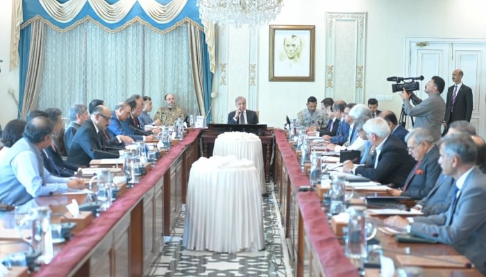 Prime Minister Shehbaz Sharif chairs a meeting of Cabinet Committee on Energy in Islamabad, July 28, 2026. — X/@PakPMO