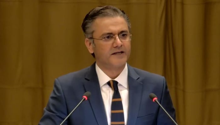 Attorney General of Pakistan (AGP) Mansoor Usman Awan speaking at International Court of Justice (ICJ) hearing in The Hague on December 9, 2024. — Screengrab via ICJ