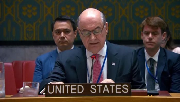 Why did US walk out on France at UN: What actually happened?