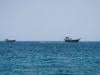 Gulf states back plan to let Iran collect voluntary fees to use Hormuz