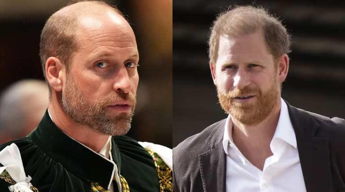 King Charles begs William, Harry to end feud: 'Choose family over grudges'