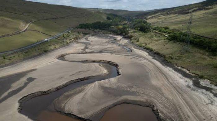England declares drought across half the country amid record heat 