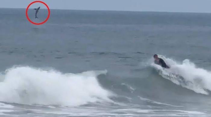 Great white shark caught on camera just yards from boogie boarder in Newport beach
