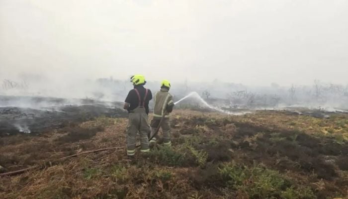 UK firefighters battling blaze close to Sizewell B nuclear plant