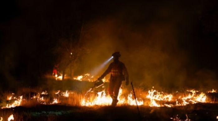 Crete wildfire forces 8,000 to flee as three firefighters die across Greece 