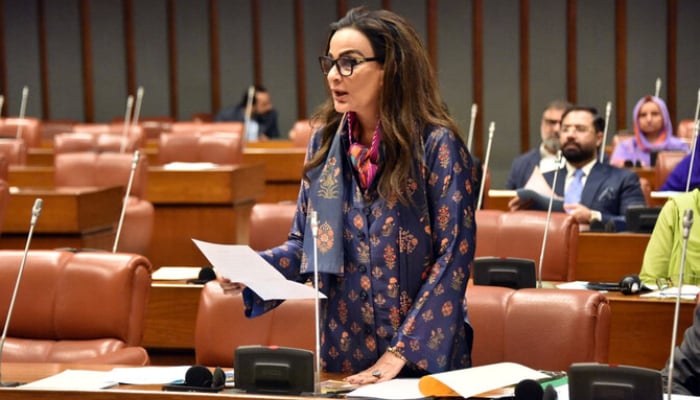 Pakistan Peoples Party Senator Sherry Rehman speaks in the upper house of parliament in Islamabad, on October 17, 2024. — Senate of Pakistan