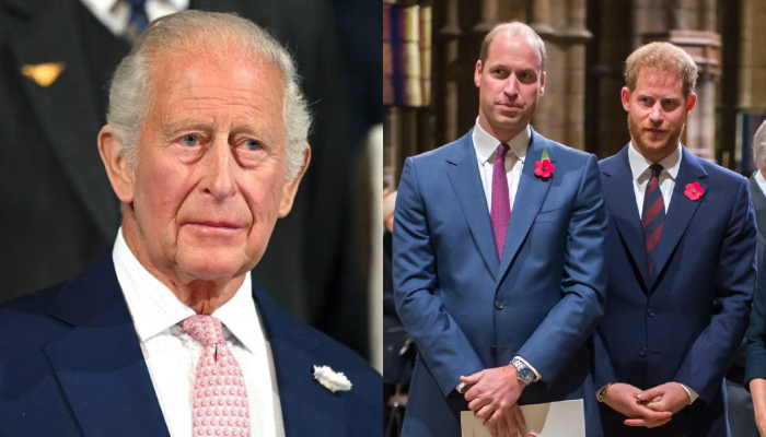 King Charles team reaches out to William for historic Harry reunion