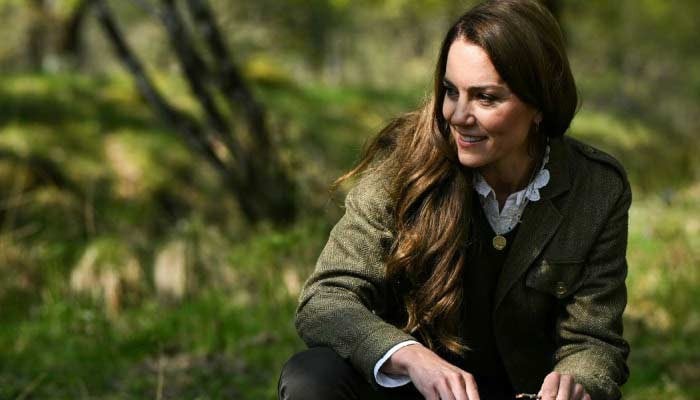 Unveiling the Indispensable Role of Princess Kate in the Royal Family's Future
