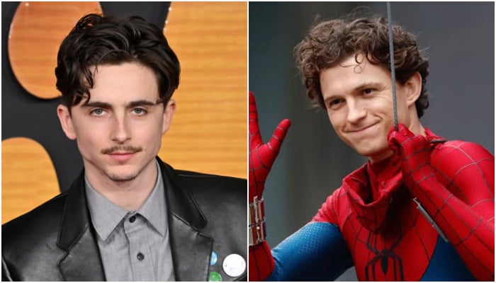 Tom Holland names Timothee Chalamet as his Spider-Man replacement
