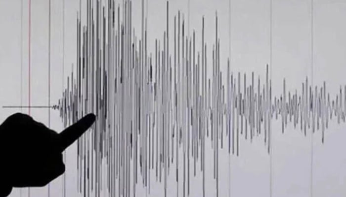 Picture showing a Richter Scale reading of a earthquake. — Reuters/ File
