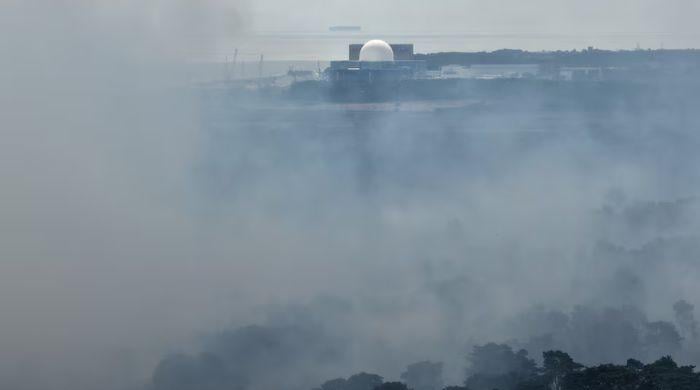 Scientists reveal chilling possible scenarios if wildfire reaches Sizewell nuclear plant