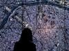 Google launches new satellite image AI tool, alarming researchers