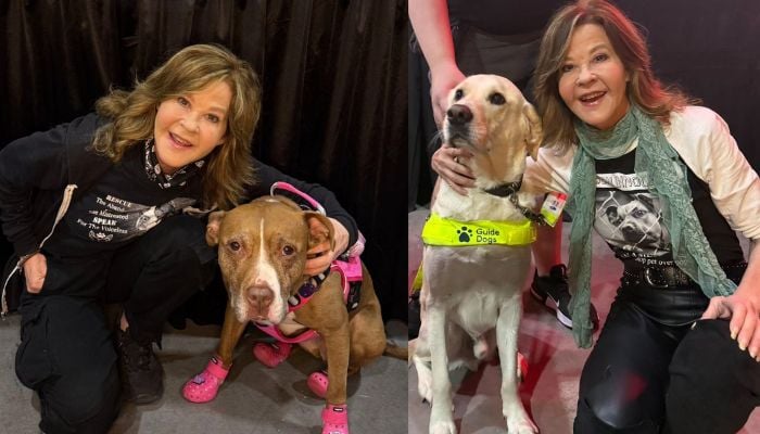 Linda Blair speaks out after property searched over 100-dog Kennel report