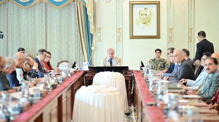 PM seeks world-class investors for Discos' privatisation
