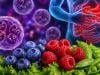 Ex-CDC Director Dr Robert Redfield warns Cyclospora outbreak may extend to fruits
