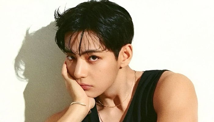 BTS V gets honest about fans who ignore him in public