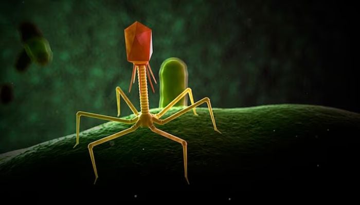 Revolutionary AI Breakthrough: Scientists Create 16 New Viruses from Scratch, Raising Hopes and Fears